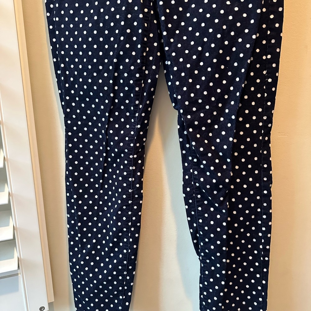 J. Crew Navy and White Polka Dot Pants - Picture 4 of 9